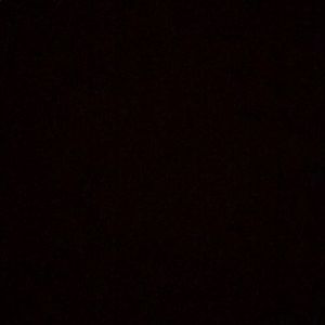 Meet your Posher, Karlie